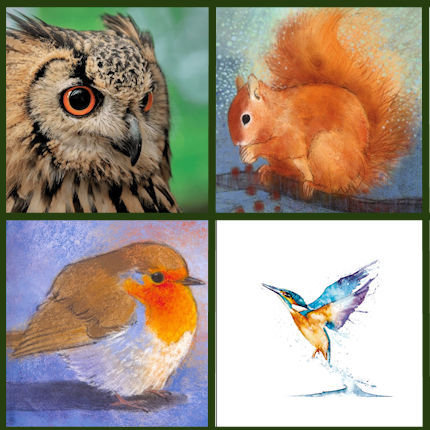 wenskaarten dieren